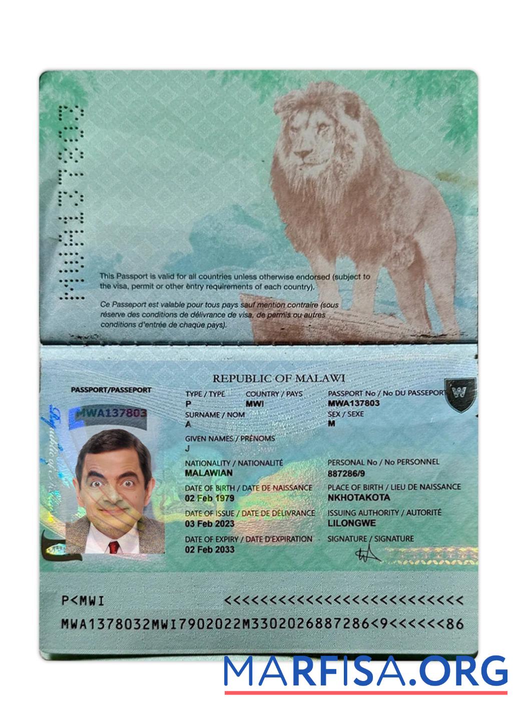 Downloadable Malawi passport 2023 present example